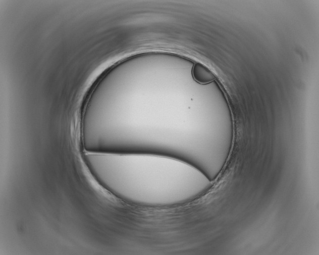 X0000113061515200908280935