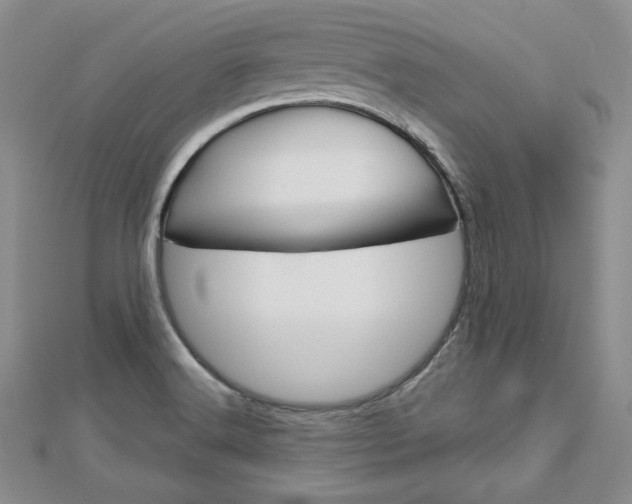 X0000113061516200908280935