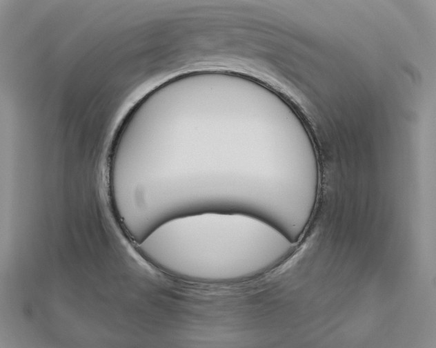 X0000113061517200908280935