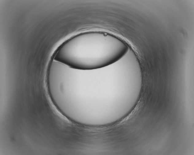 X0000113061518200908280936