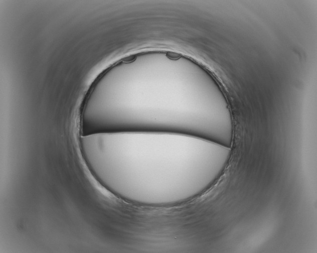 X0000113061519200908280936