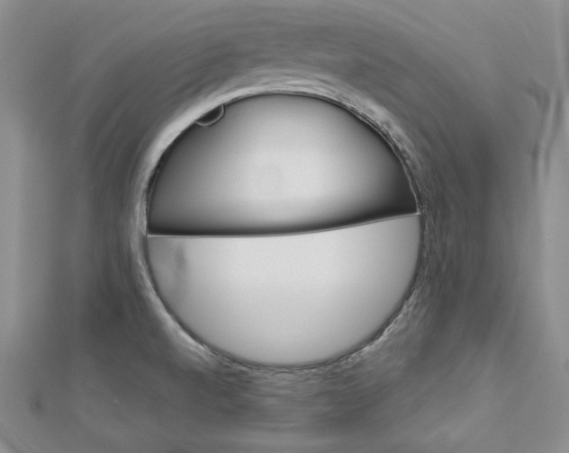 X0000113061520200908280936