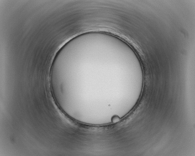 X0000113061521200908280936
