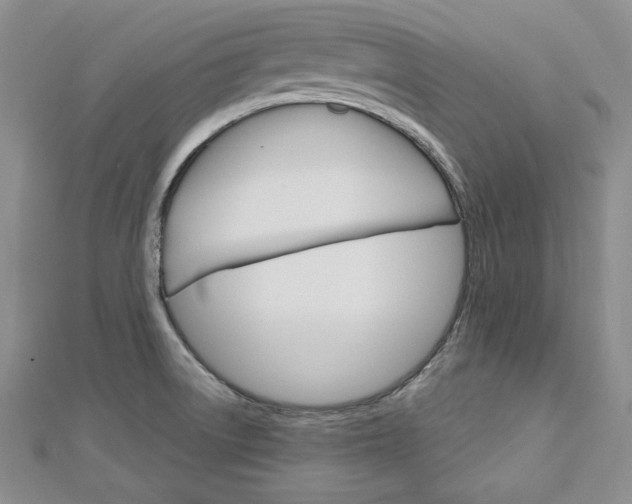 X0000113061522200908280936