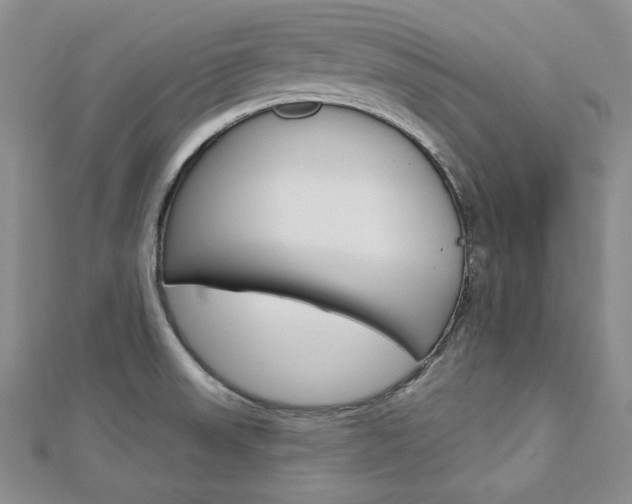 X0000113061523200908280936