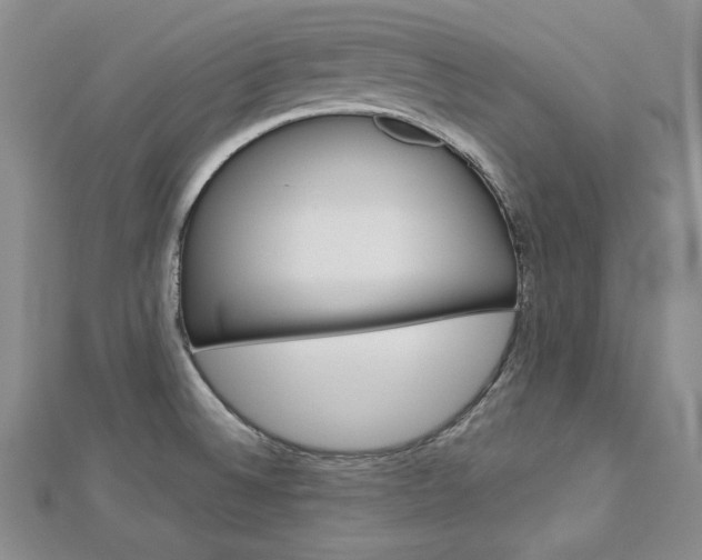 X0000113061524200908280936