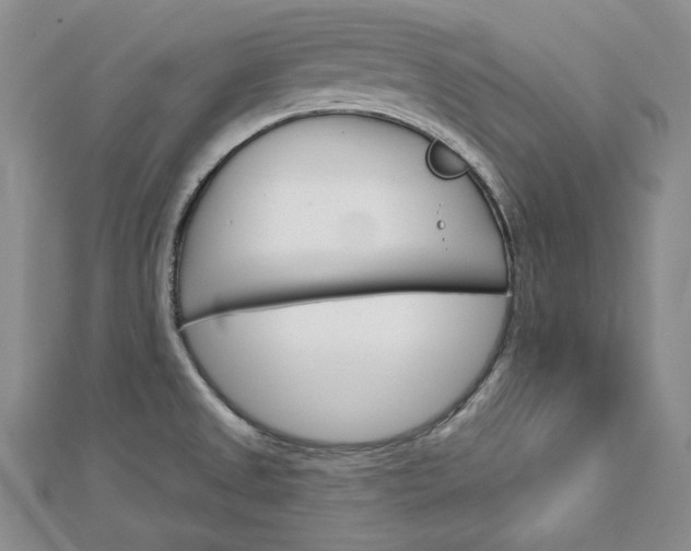 X0000113061525200908280936