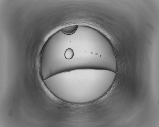 X0000113061526200908280936
