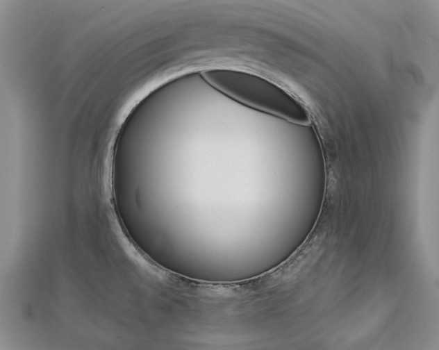X0000113061528200908280936