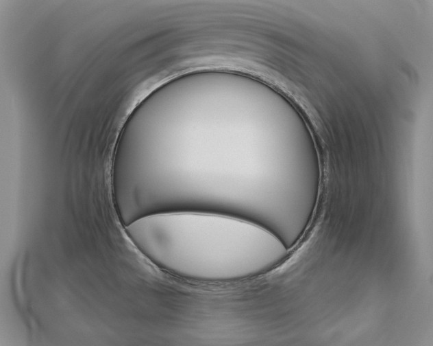 X0000113061529200908280936