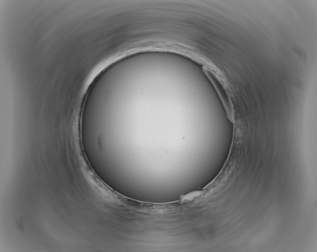 X0000113061530200908280936