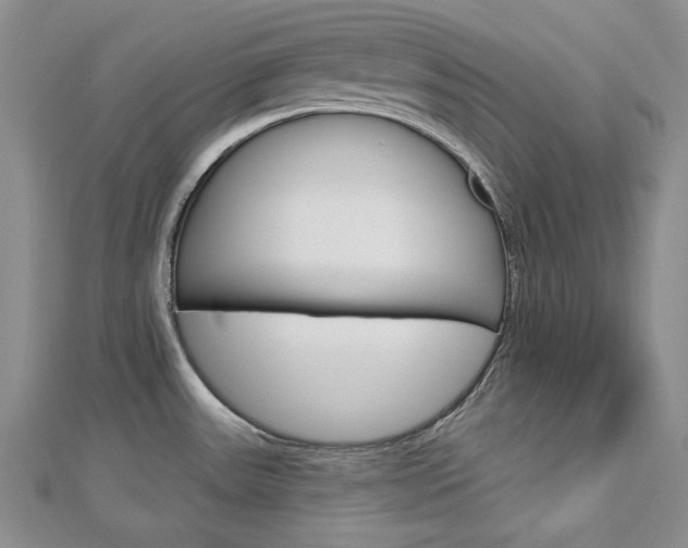 X0000113061531200908280936