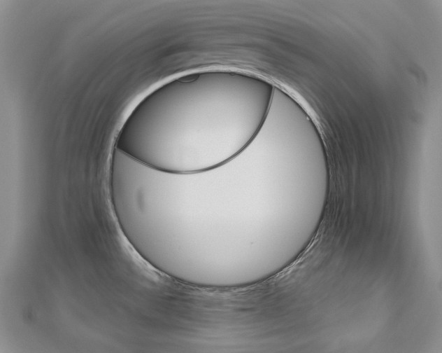 X0000113061532200908280936