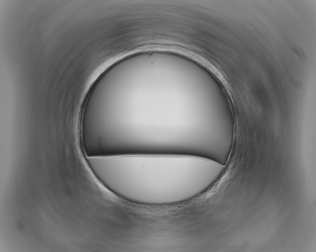 X0000113061533200908280936