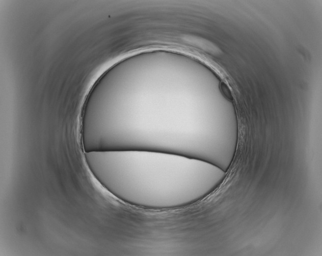 X0000113061535200908280936