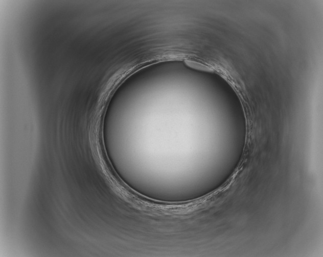 X0000113060001200908281143