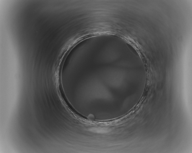 X0000113060002200908281143