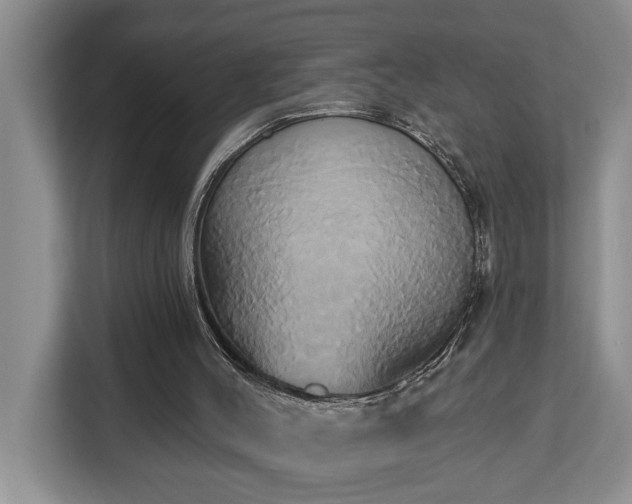 X0000113060004200908281143