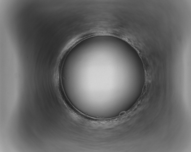 X0000113060005200908281143