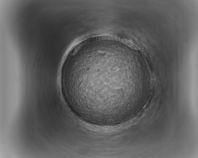 X0000113060006200908281143