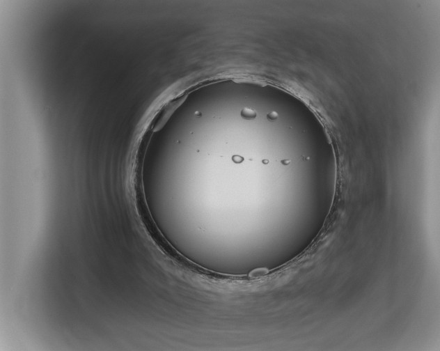 X0000113060007200908281143