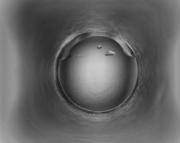 X0000113060008200908281143