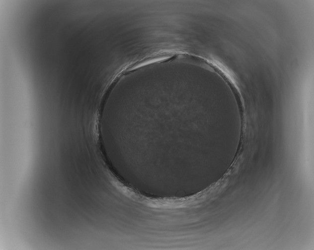 X0000113060009200908281143