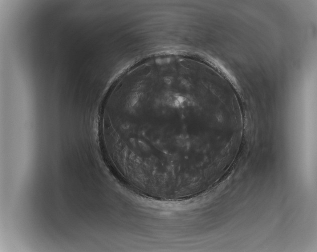 X0000113060010200908281143