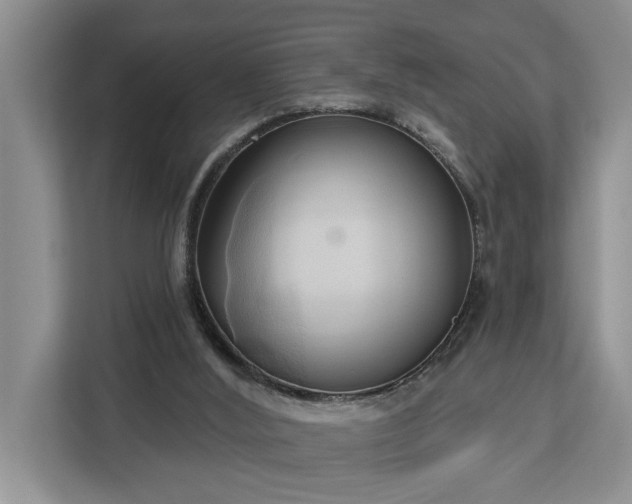 X0000113060012200908281143