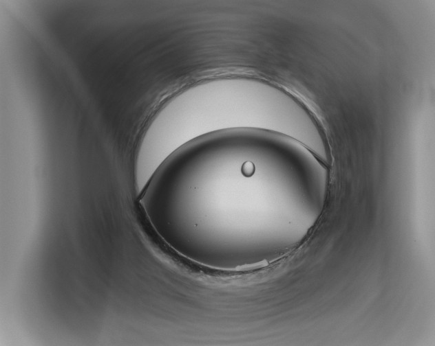 X0000113060013200908281143
