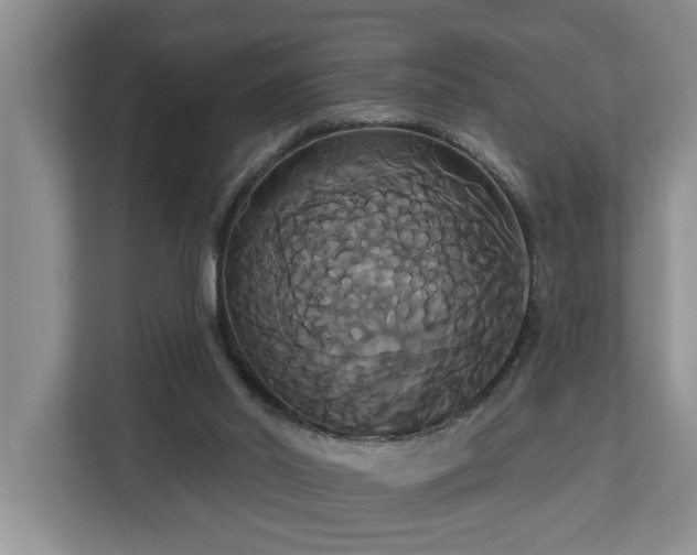 X0000113060014200908281143