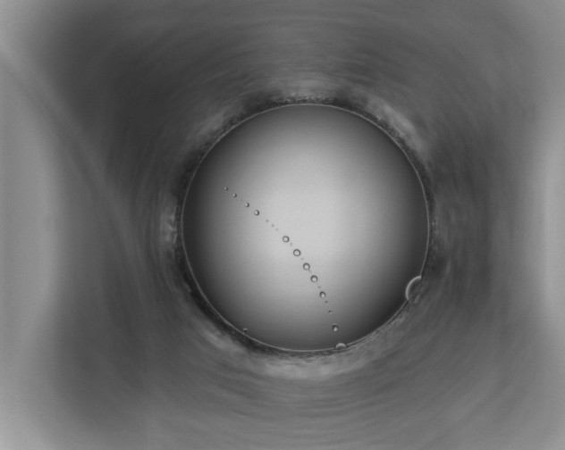 X0000113060017200908281143
