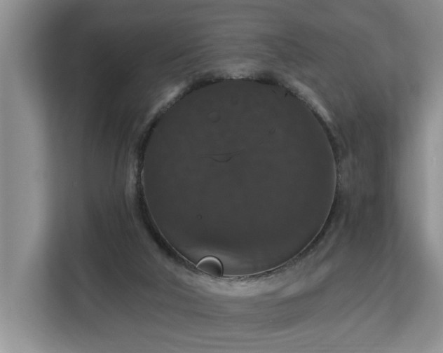 X0000113060018200908281143