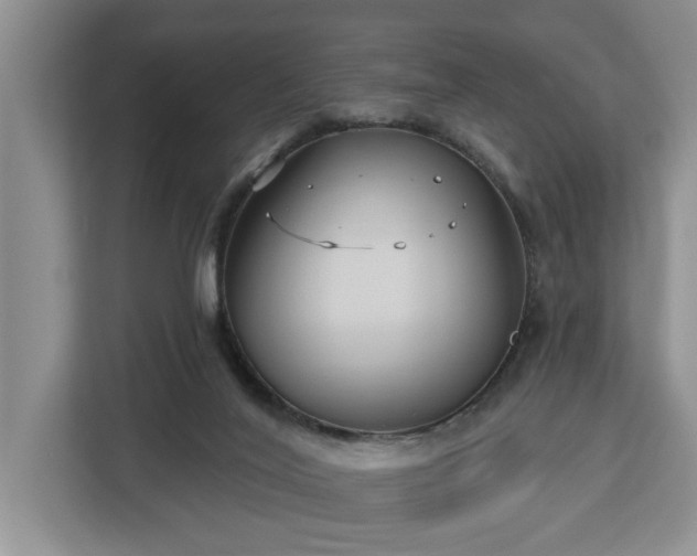 X0000113060020200908281143