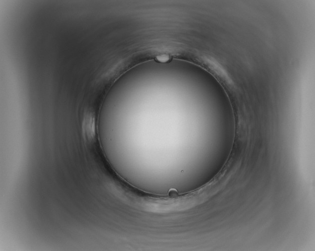 X0000113060021200908281143