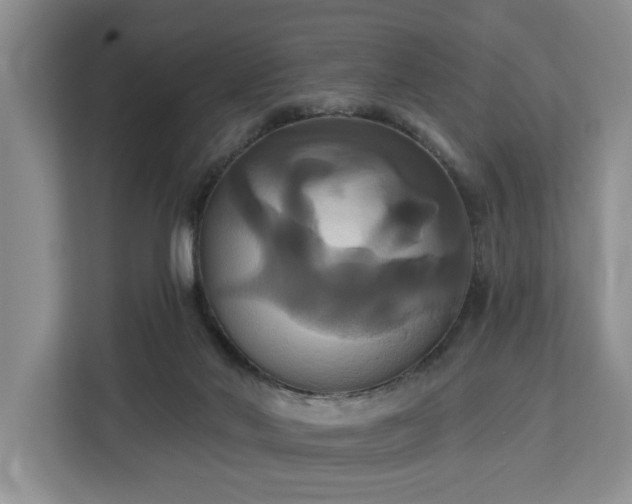 X0000113060022200908281143