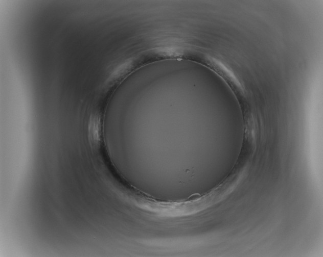 X0000113060023200908281143