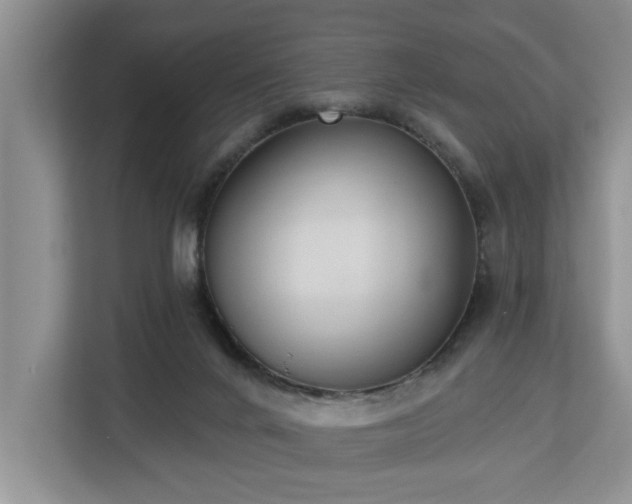 X0000113060024200908281143