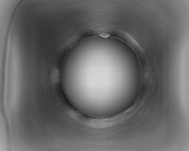 X0000113060025200908281143