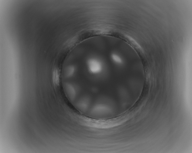 X0000113060026200908281143
