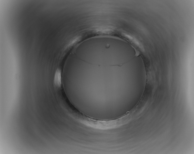 X0000113060027200908281143