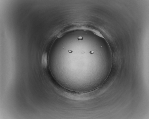 X0000113060028200908281143