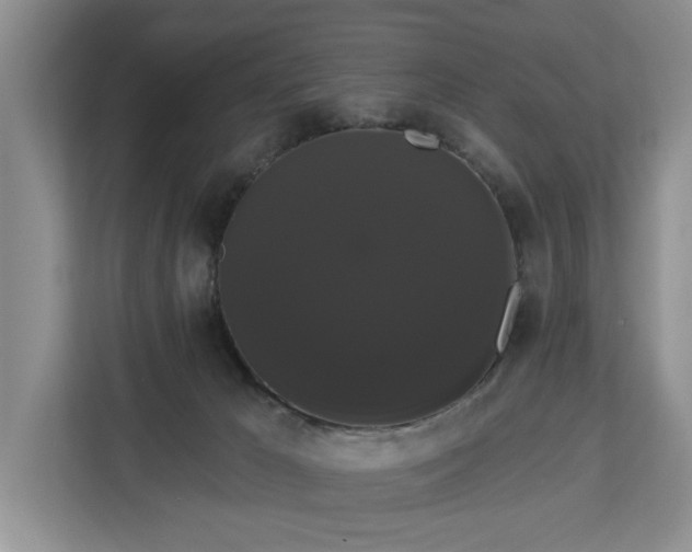 X0000113060029200908281143