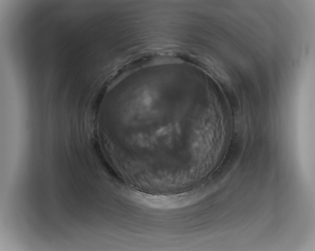 X0000113060030200908281143