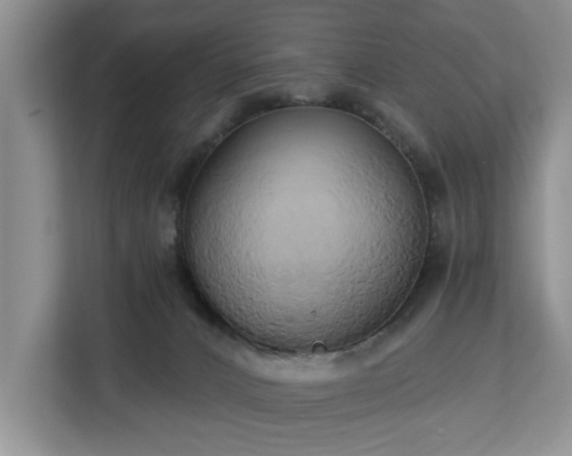 X0000113060032200908281143