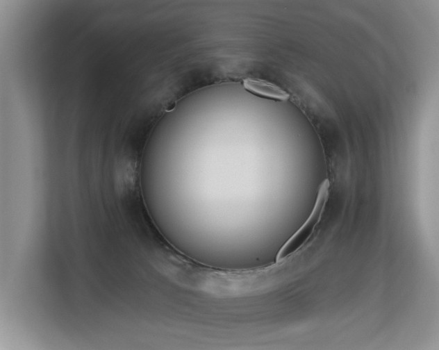X0000113060033200908281143