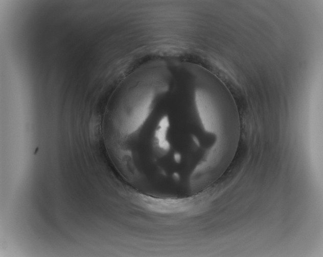 X0000113060034200908281143