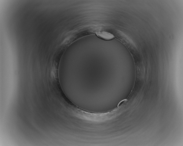 X0000113060035200908281143