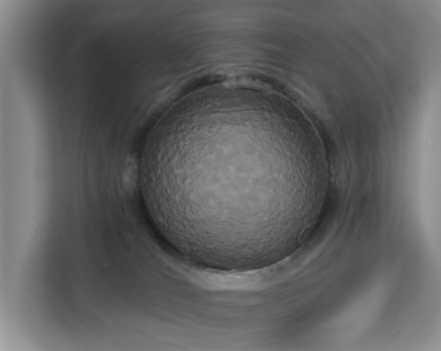 X0000113060036200908281143