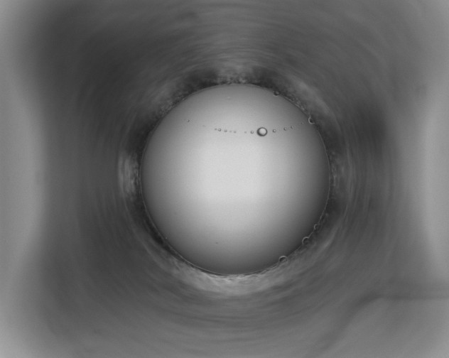 X0000113060038200908281143